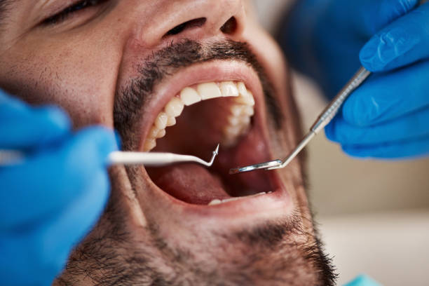 Best Emergency Dental Services for Seniors in Suffield Depot, CT